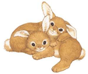 Gif animé animaux