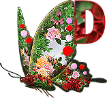 alphabet lettre d