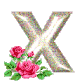 alphabet lettre x