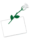 gif message